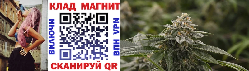 Где продают наркотики Сальск ГАШИШ  Cocaine  Мефедрон  А ПВП  Канабис 