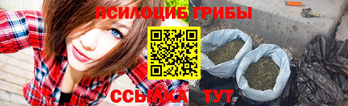 Галлюциногенные грибы GOLDEN TEACHER Сальск