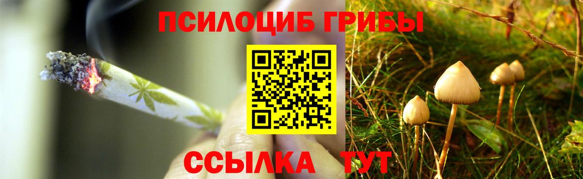 Псилоцибиновые грибы ЛСД  Псилоцибиновые грибы ЛСД  Сальск  Вход с VPN 